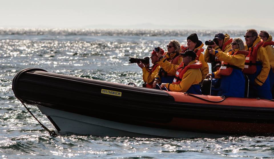 Our open RIBs are perfect for wildlife spotting and photography