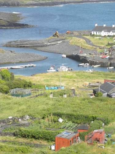 An allotment with a view !