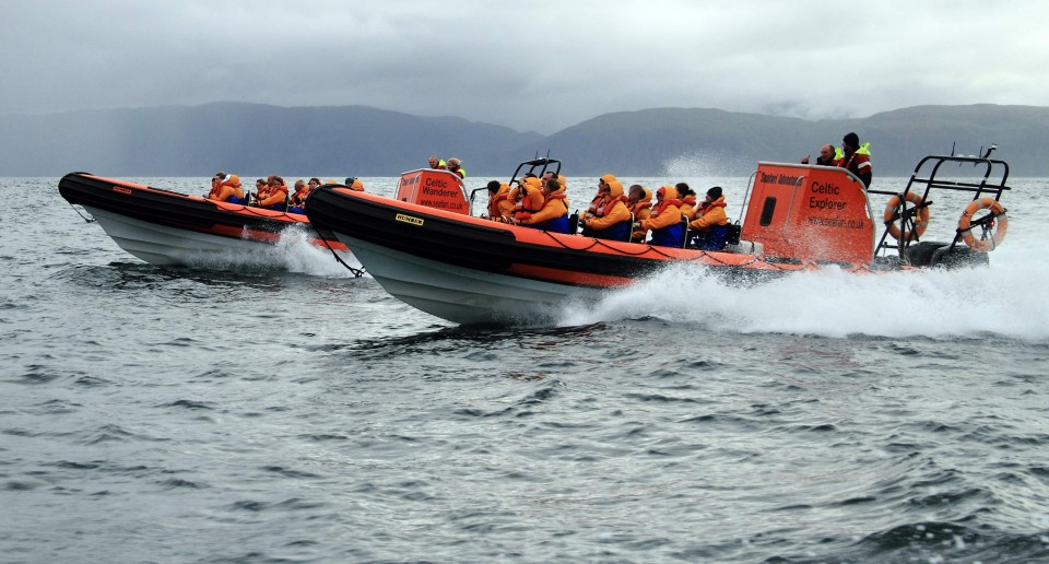 Seafari Adventures - Open RIBs Side by Side
