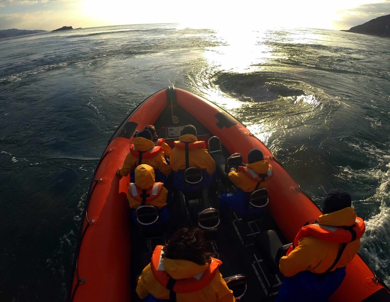 Seafari Adventures - Whirlpool Special Tour