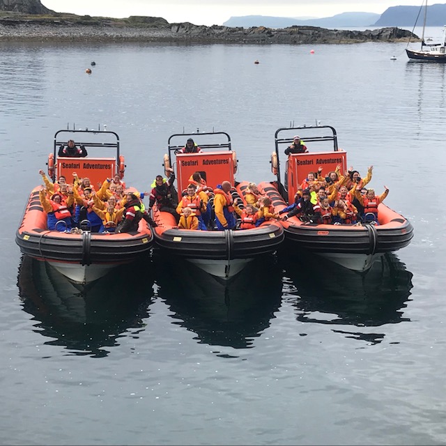 Seafari Adventures - all 3 open RIBs together.