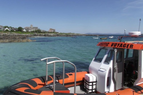 sea eagle trips from oban