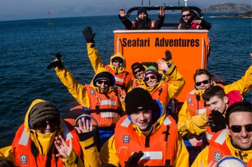 wildlife tours oban