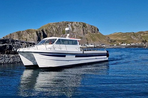 sea eagle trips from oban