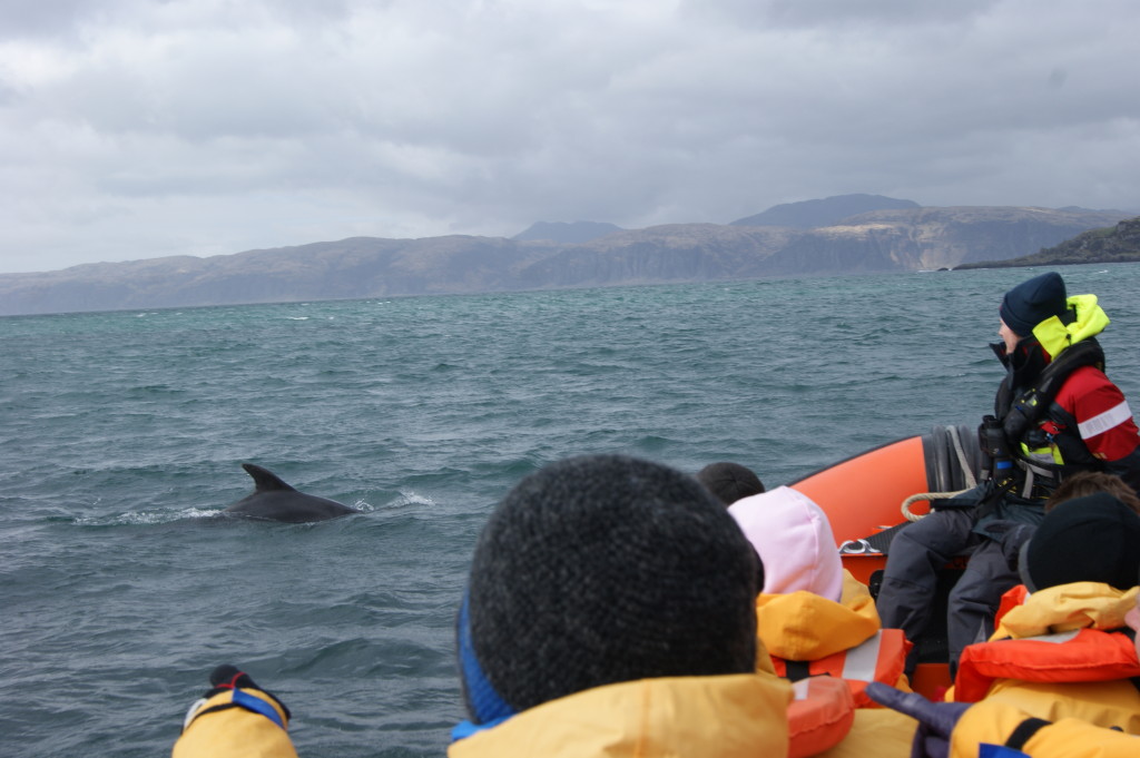 Crew member Sarah with dolphin.